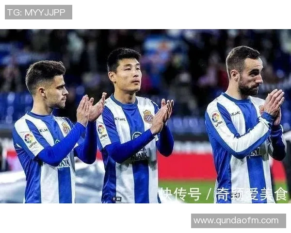 伊朗与叙利亚足球赛结果预测及分析探讨 伊朗与叙利亚足球赛结果预测及分析探讨