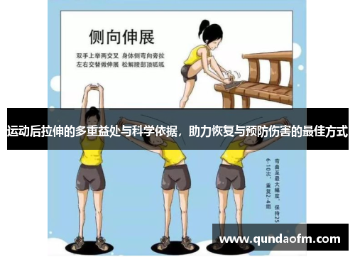 运动后拉伸的多重益处与科学依据，助力恢复与预防伤害的最佳方式
