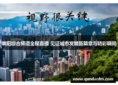 襄阳综合频道全程直播 见证城市发展新篇章与精彩瞬间