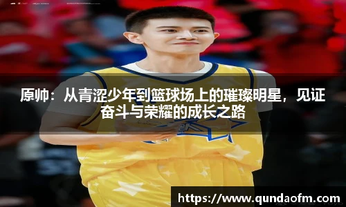 678体育在线登录